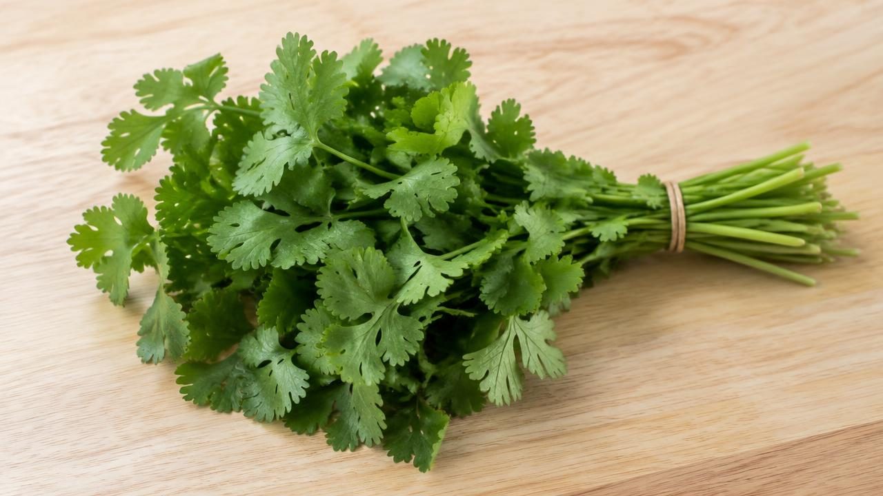 A small bunch of fresh cilantro leaves on a light wooden board.