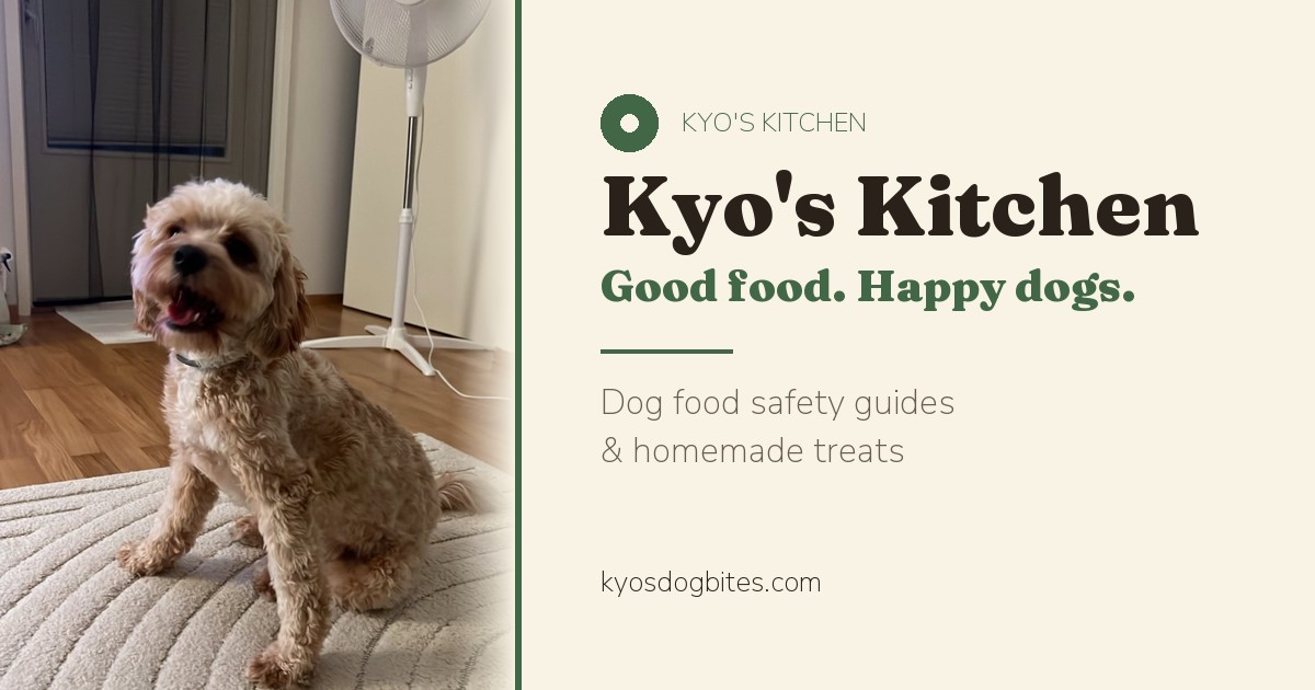 Kyo’s Kitchen — a free website about foods dogs can eat